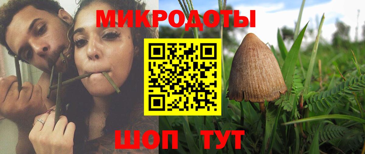 Свободный  Галлюциногенные грибы ЛСД  Вход с VPN  Галлюциногенные грибы Psilocybine cubensis 
