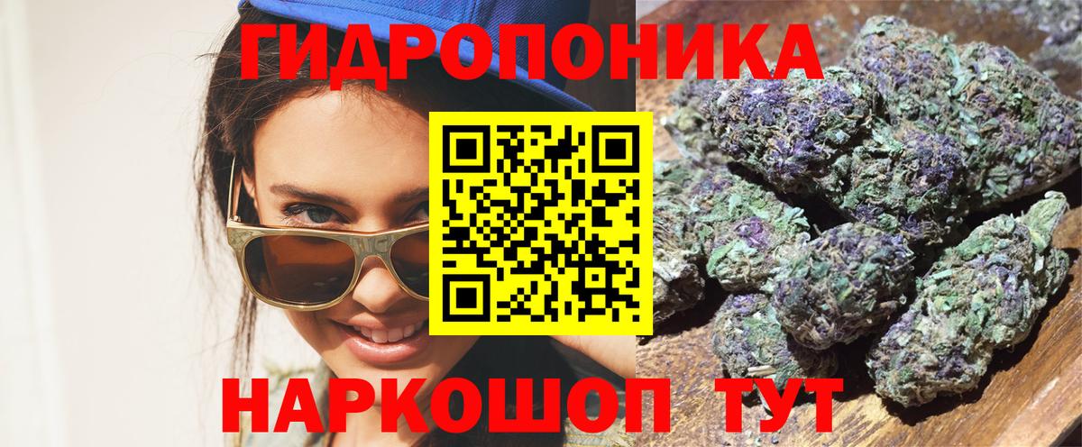 Конопля семена  Канабис Amnesia  Шишки марихуана MAZAR  Конопля OG Kush  Вход с VPN  Свободный 